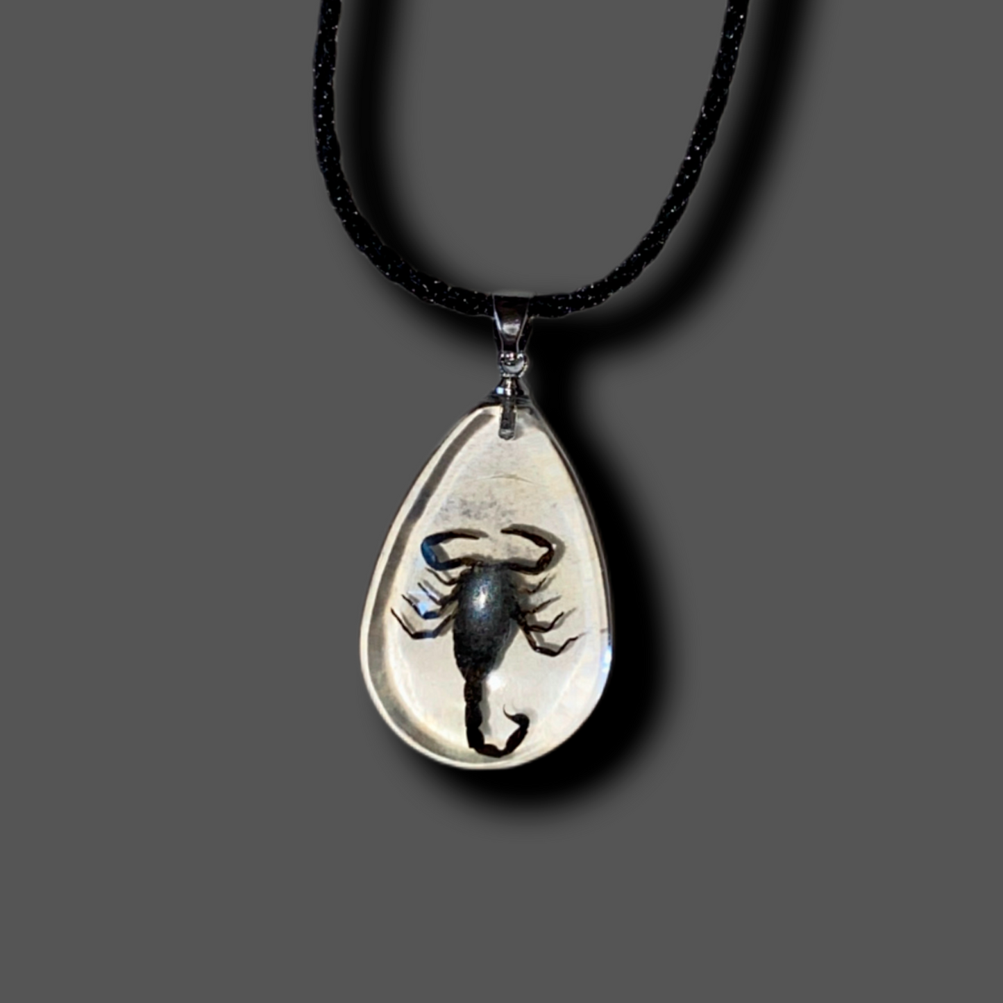 COLLARES ARACHNIKOS resina